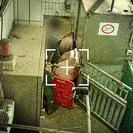 Heimliche Videoaufnahmen von der Schweinebetäubung im Kulmbacher Schlachthof hatten für Entsetzen gesorgt.