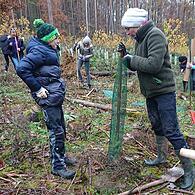 Die Natur als Klassenzimmer: Schüler der Mittelschule Scheßlitz bei ihrer Waldaktion.