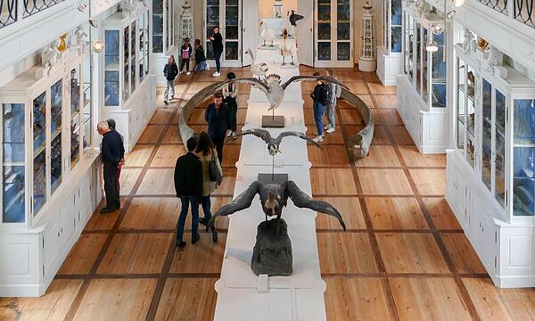 Anziehungspunkt war der berühmte Vogelsaal im Naturkundemuseum.