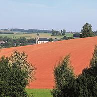 Bürgerentscheid Solarpark Steinbach