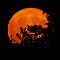 Erdbeermond über Kronach