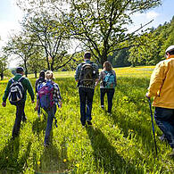 Das frühlingshafte Wetter an Pfingsten eignet sich perfekt für einen Ausflug  ins Grüne. Hier abgebildet ist eine malerische Tour im Aurachgrund zwischen Höfen, Mühlendorf, Walsdorf und Priesendorf.