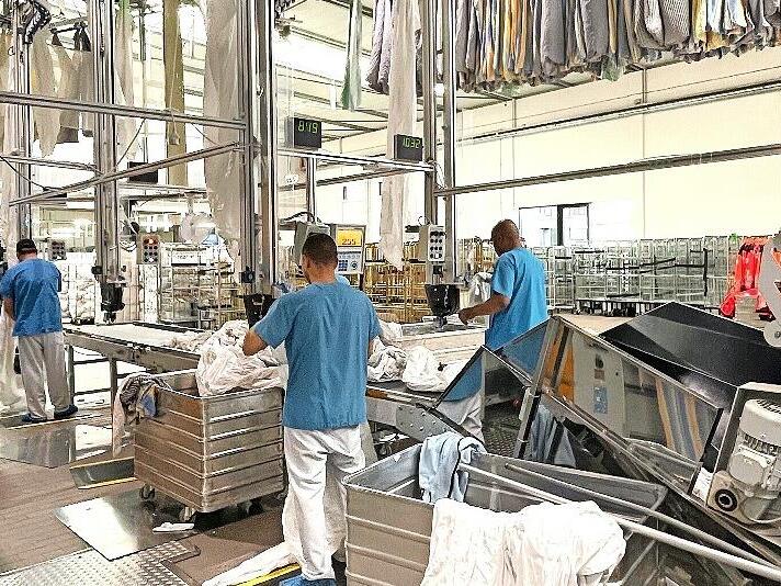 Ausgereifte Technologie und fleißige Hände gehören bei der Familie Ullmer zusammen.