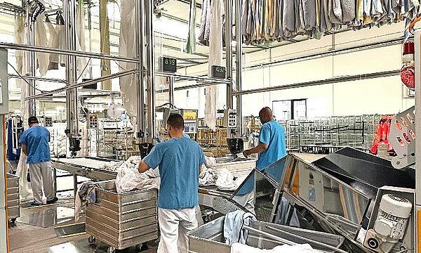 Ausgereifte Technologie und fleißige Hände gehören bei der Familie Ullmer zusammen.