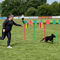 Hunde Agility Turnier Kunreuth