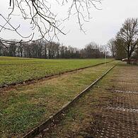 Hundewiese Coburg