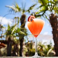 Sommer Cocktail "Pornstar Martini"