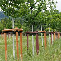 Naturpark auf Lauterer Höhe in Coburg kostet mindestens zwei Millionen Euro
