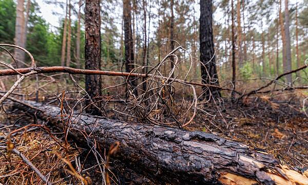 Waldbrand bei Erlangen glimmt weiter