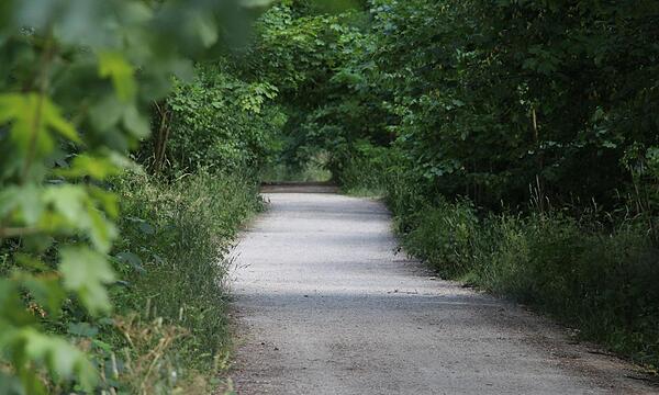 Besucherinnen und Besucher können den Tennenloher Forst bei Erlangen nach dem Waldbrand nun wieder wie gewohnt betreten