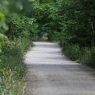Besucherinnen und Besucher können den Tennenloher Forst bei Erlangen nach dem Waldbrand nun wieder wie gewohnt betreten