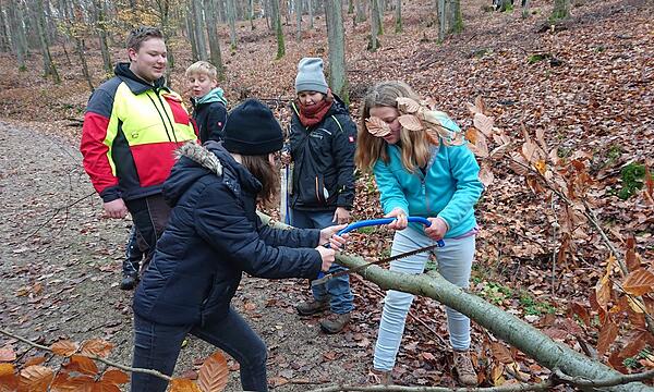 Die Natur als Klassenzimmer: Schüler der Mittelschule Scheßlitz bei ihrer Waldaktion.