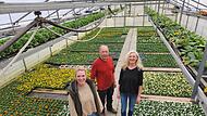 Blumen Schäfer in Premich verkleinert sich Lisa, Thomas und Ruth Schäfer leiten in dritter Generation die Gärtnerei Schäfer.