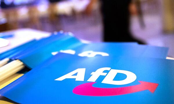 Fahne mit AfD-Logo