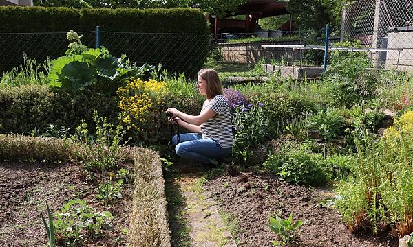 LBV und LfU zeichnen vogelfreundliche Gärten aus. Bewerterin Charlotte Asen dokumentiert mit der Kamera die Mischung aus Gemüsebeten, Steinmauern und wilden Ecken im Garten der Familie Rothemund.LBV/LfU Auszeichnung vogelfreundlicher Gärten
