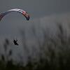 Gleitschirmflieger