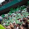 VfL Wolfsburg - Bayern München