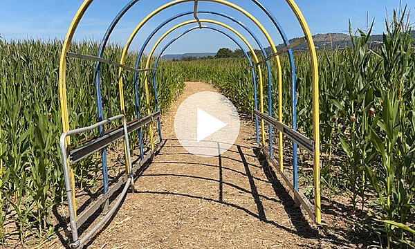 Das Maislabyrinth Gosberg im Selbstversuch: Ein Quickrun im Zeitraffer-Video