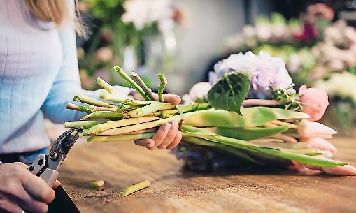 Nonstop Blumen binden: Viele Floristinnen haben eine Sechs-Tage-Woche und wenig Urlaub. Die Floristen-Gewerkschaft IG BAU Mainfranken will das jetzt ändern.