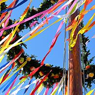 Bunt geschmückter Maibaum - ein begehrtes Objekt von Räubern, die im Schutz der Dunkelheit in der Nacht vom 30. auf den 1. Mai in Nachbarorten unterwegs sind, um ihn zu klauen und auf Auslöse hoffen.&nbsp;