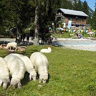 Reintalangerhütte