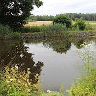 Wurde mit dem Prädikat „Kulturgut Teich“ ausgezeichnet: der „Culmone-Teich“ von Elke und Otto Norbert Grußka.
