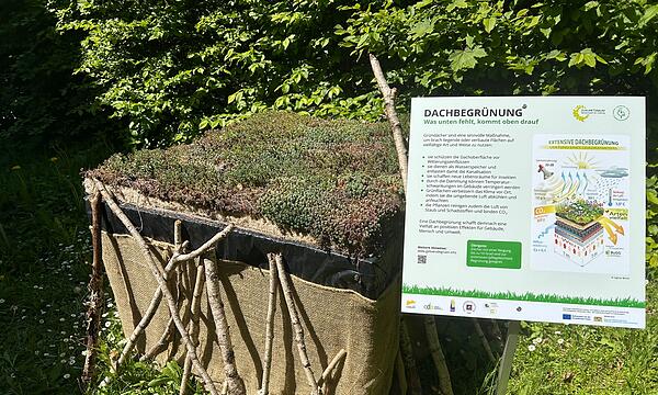 Zeigen, wie leicht Naturschutz sein kann: Contakt-Garten in Coburg eröffnet