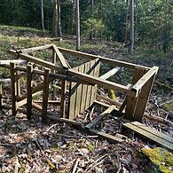 Vandalismus im Wald