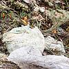Es landet zu viel Plastik im Biomüll. Selbst kompostierbare Kunststofftüten sind in vielen Fällen nicht ideal. Es landet zu viel Plastik im Biomüll. Selbst kompostierbare Kunststofftüten sind in vielen Fällen nicht ideal.