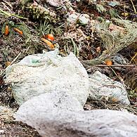 Es landet zu viel Plastik im Biomüll. Selbst kompostierbare Kunststofftüten sind in vielen Fällen nicht ideal.