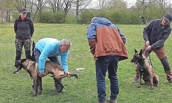 Die Pfotenkontrolle nach der Ausdauerprüfung (v. l.): Sonja Jesenik, Alfred Nagengast, welcher gerade die Pfoten seiner Schäferhündin zeigt, und Erhard Fahner.