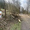 Naturlehrpfad Naturlehrpfad