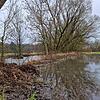 Hochwasser Kronach: Pegelstände sollen wieder steigen Hochwasser Kronach: Pegelstände sollen wieder steigen