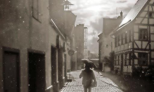 Das Foto „Reflektionen“ zeigt eine Gegenlichtaufnahme im Regen. Entstanden ist es im Krottental in Forchheim.