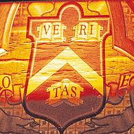 „Veritas“ – Wahrheit – steht im Wappen von Harvard. Der Kurs der Universität gefällt nicht jedem und vor allem nicht US-Präsident Donald Trump.