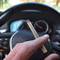 Cannabis am Steuer