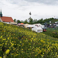 Das Walberlafest 2024. Auch dieses Jahr ist einiges geboten.