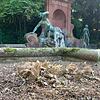 Die Buchsbäume rund um den Herzog-Alfred-Brunnen wurden von Buchsbaumzünslern derart abgefressen, dass dem Grünflächenamt nichts anderes übrig blieb, als die Buchsbäume radikal zu stutzen. Die Buchsbäume rund um den Herzog-Alfred-Brunnen wurden von Buchsbaumzünslern derart abgefressen, dass dem Grünflächenamt nichts anderes übrig blieb, als die Buchsbäume radikal zu stutzen.