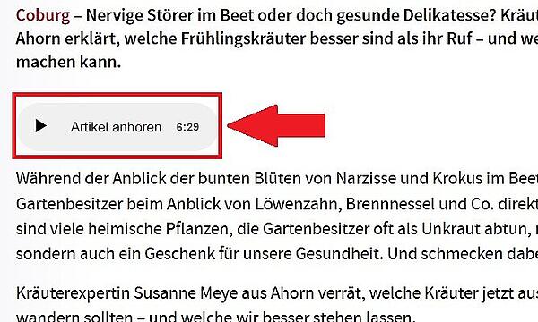 Mit einem Klick auf "Artikel anhören" können Sie sich Artikel auf fränkischertag.de ganz einfach vorlesen lassen.