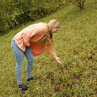 Veronika Müller zeigt Blumen auf ihrer Magerwiese.