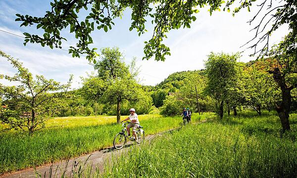 Landschaft, Spaß und Sport: Der Landkreis lädt unter anderem zu E-Biken ins Wiesenttal ein. TZ Fränkische Schweiz/Florian Trykowski