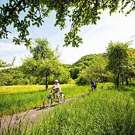 Landschaft, Spaß und Sport: Der Landkreis lädt unter anderem zu E-Biken ins Wiesenttal ein. TZ Fränkische Schweiz/Florian Trykowski