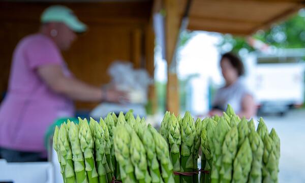 Spargel