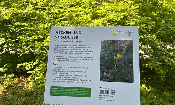 Zeigen, wie leicht Naturschutz sein kann: Contakt-Garten in Coburg eröffnet