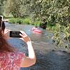 Anders als 2021 lassen sich in diesem Jahr auf der Saale im Landkreis Bad Kissingen kaum Kanufahrer fotografieren. Anders als 2021 lassen sich in diesem Jahr auf der Saale im Landkreis Bad Kissingen kaum Kanufahrer fotografieren.