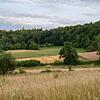 Waldbrandgefahr