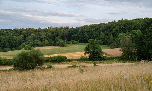 Waldbrandgefahr