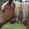 Wechselhaftes Wetter in Bayern
