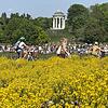 Sonnenhungrige im Englischen Garten