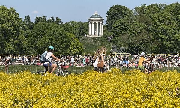 Sonnenhungrige im Englischen Garten